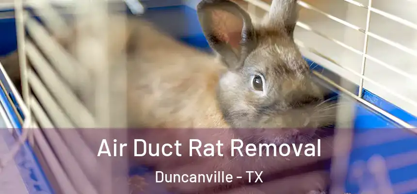 Air Duct Rat Removal Duncanville - TX