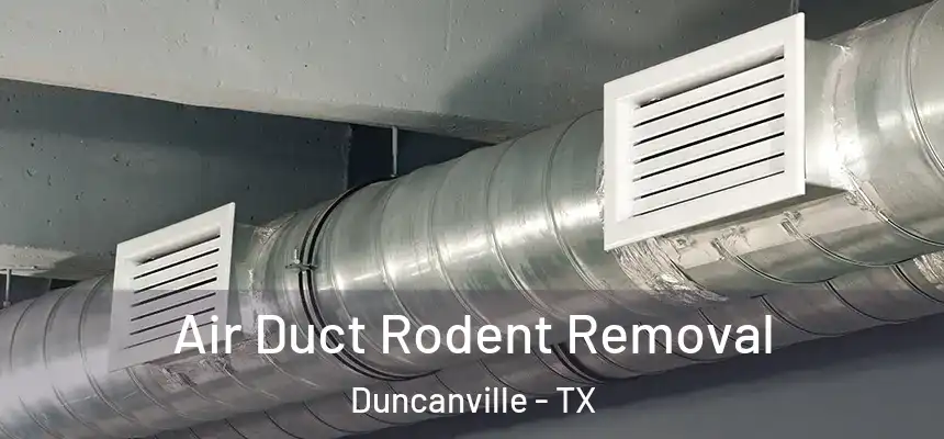 Air Duct Rodent Removal Duncanville - TX