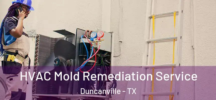HVAC Mold Remediation Service Duncanville - TX
