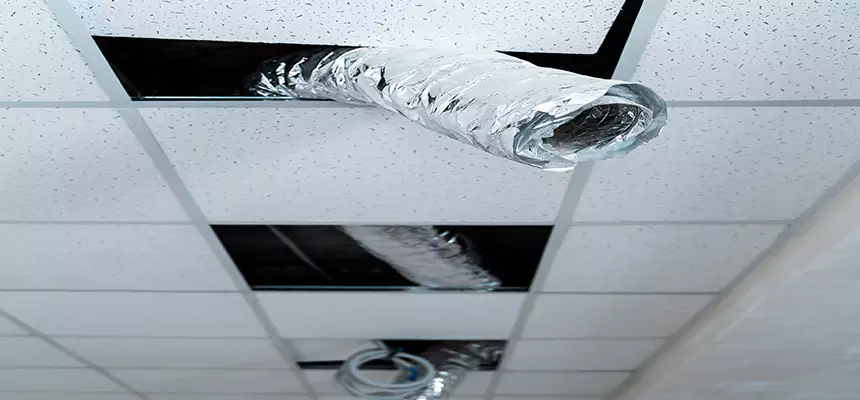 Our Air Duct Pet Hair Removal Services in Duncanville, TX