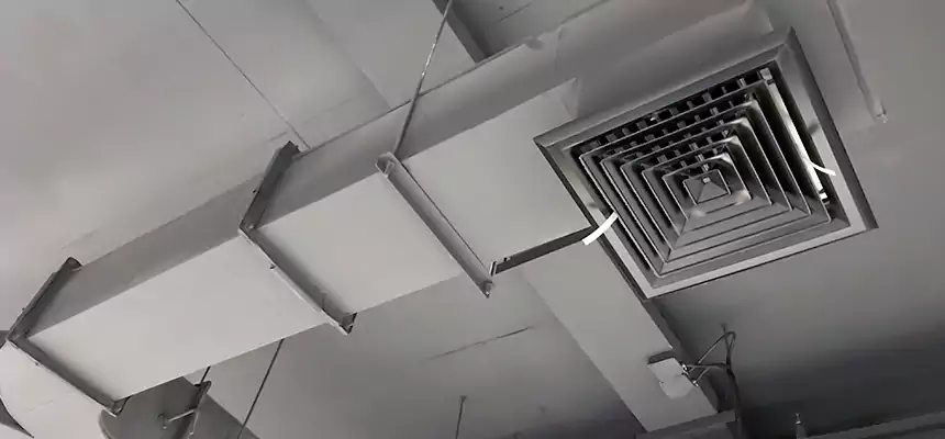 Restorative Allergy Relief Vent Cleaning – Coil, Blower & Housing Detail in Duncanville