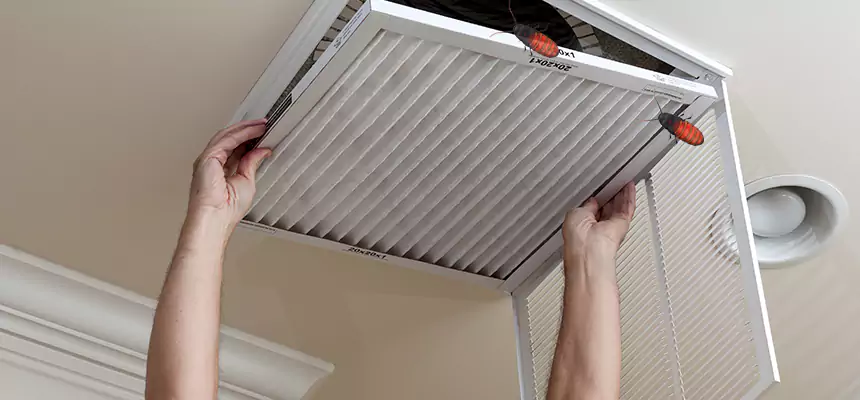 Our Insect Removal from Air Ducts Services in Duncanville, TX