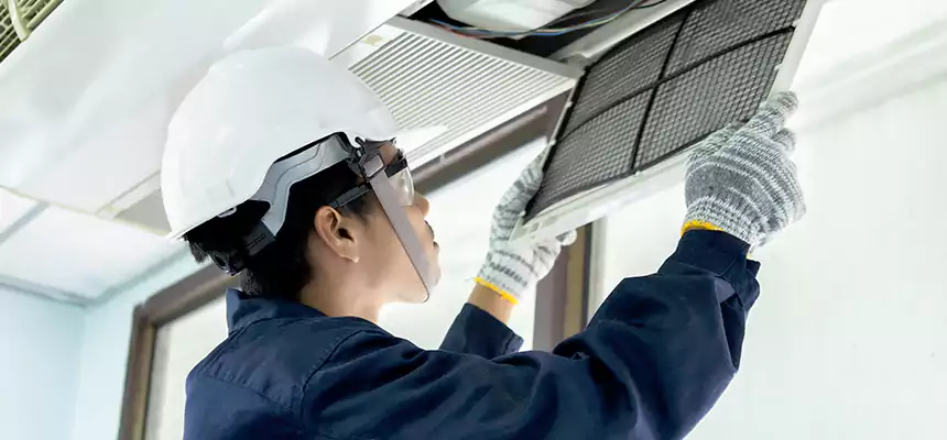 Our Mold & Mildew Removal from Air Ducts Services in Duncanville, TX