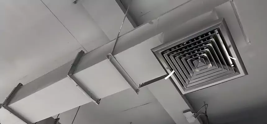 Our Rodent Droppings In Vents Services in Duncanville, TX