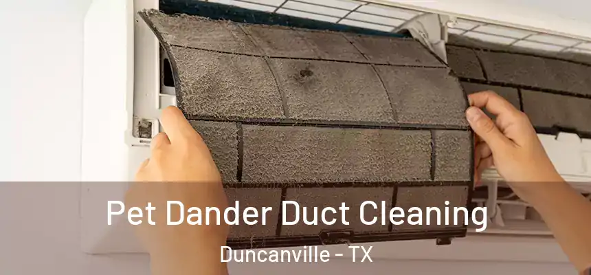 Pet Dander Duct Cleaning Duncanville - TX