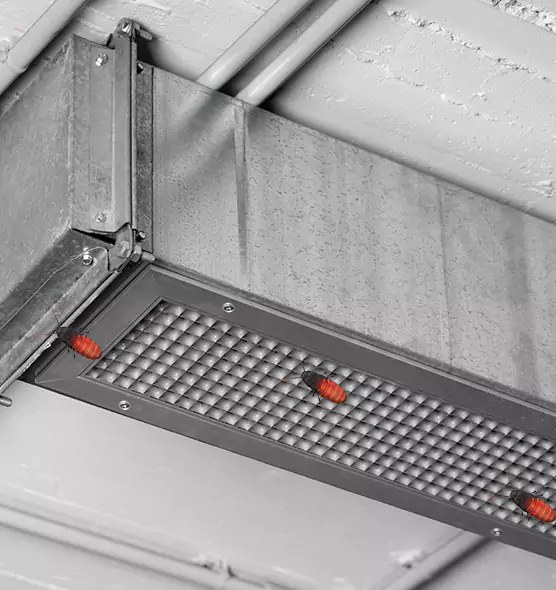 About Air Duct Cockroach Removal in Duncanville, TX