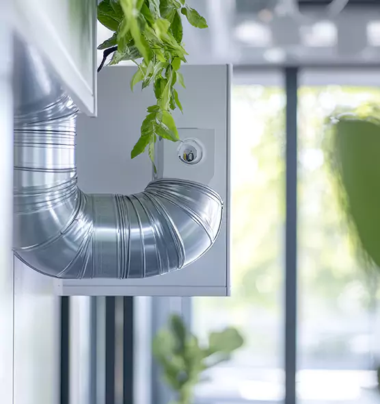 Professional Eco-Safe Dryer Vent Cleaning in Duncanville, TX