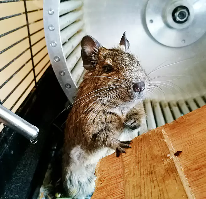 Why Homeowners & Businesses Trust Us Duncanville, TX?