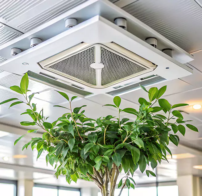 Why Homeowners & Businesses Trust Us in Duncanville, TX